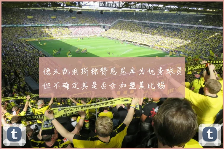 德米凯利斯称赞恩昆库为优秀球员但不确定其是否会加盟莱比锡
